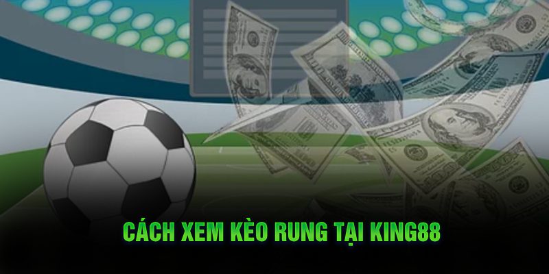 Cách xem kèo rung tại KUBET
