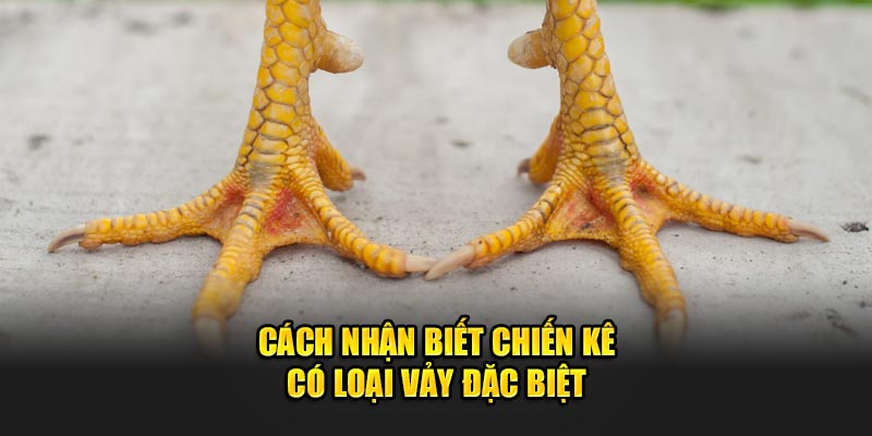 cach-nhan-biet-chien-ke-co-loai-vay-dac-biet