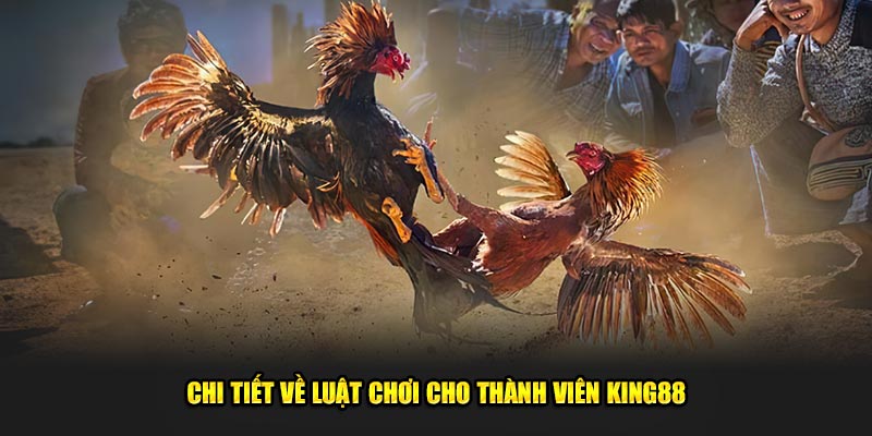 Chi-tiet-ve-luat-choi-cho-thanh-vien-King88