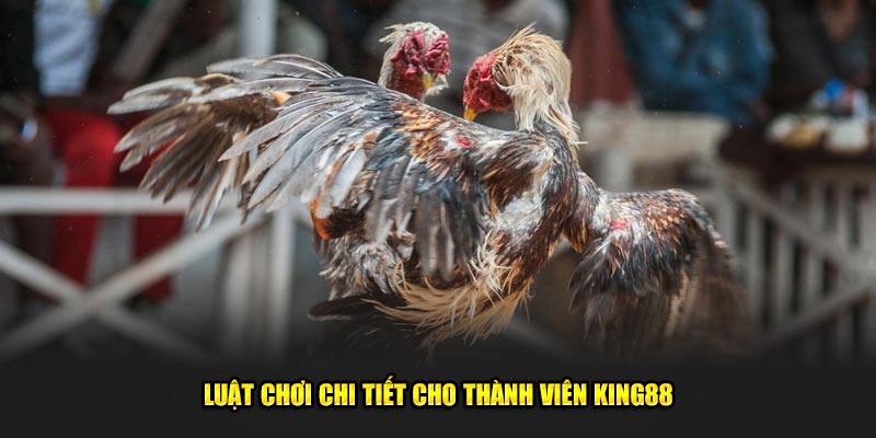 Luat-choi-chi-tiet-cho-thanh-vien-King88