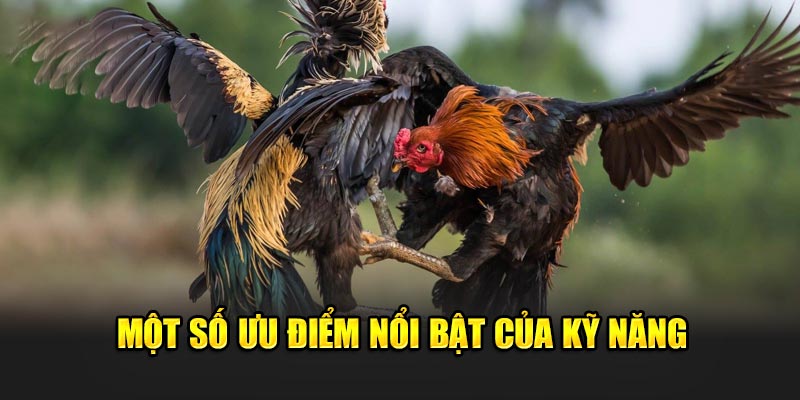 mot-so-uu-diem-noi-bat-cua-ky-nang