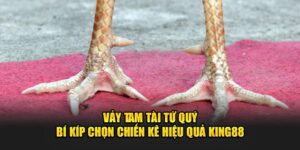 vay-tam-tai-tu-quy-bi-kip-chon-chien-ke-hieu-qua-king88